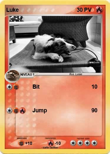 Pokemon Luke