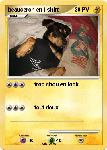 Pokemon beauceron en t-shirt