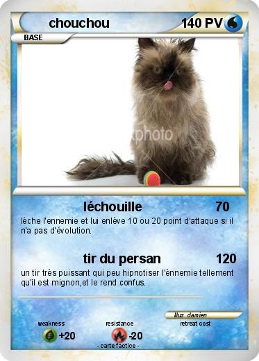 Pokemon chouchou