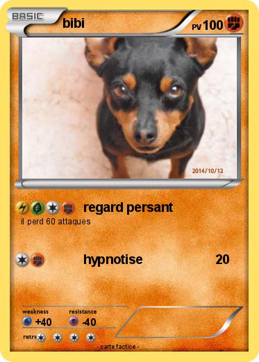Pokemon bibi