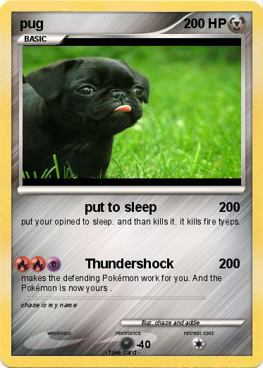 Pokemon pug
