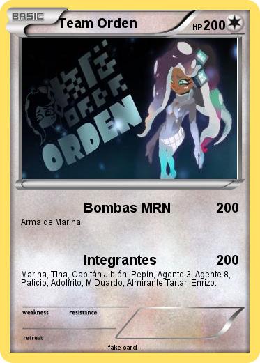 Pokemon Team Orden