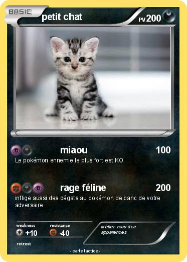 Pokemon petit chat