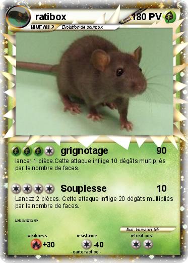 Pokemon ratibox