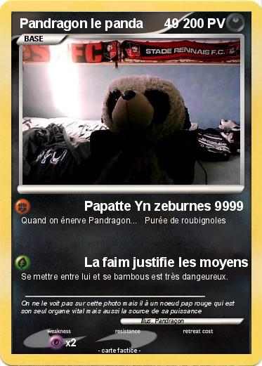 Pokemon Pandragon le panda      49