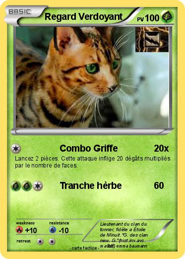 Pokemon Regard Verdoyant