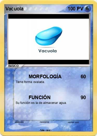 Pokemon Vacuola