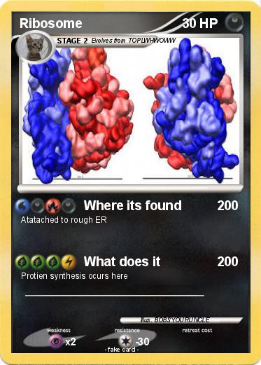 Pokemon Ribosome