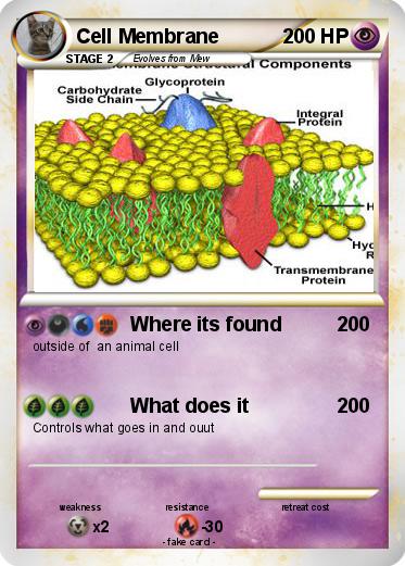 Pokemon Cell Membrane