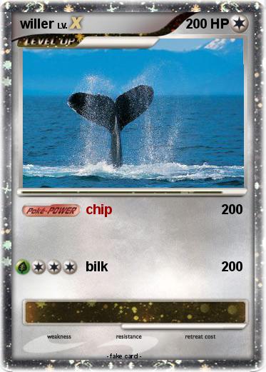 Pokemon willer