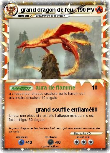 Pokemon grand dragon de feu