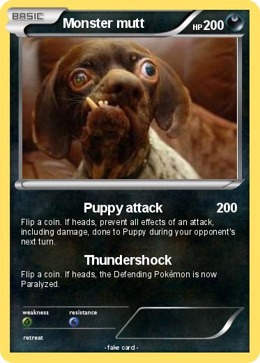 Pokemon Monster mutt
