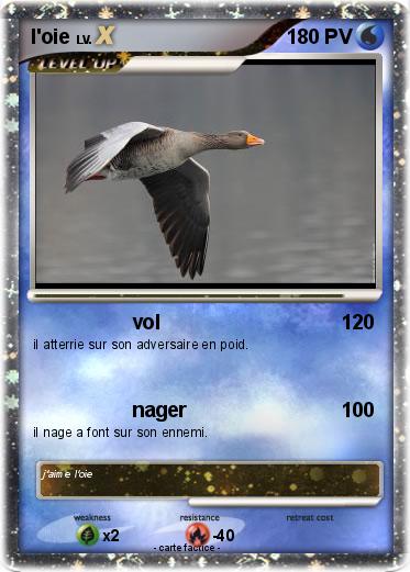 Pokemon l'oie