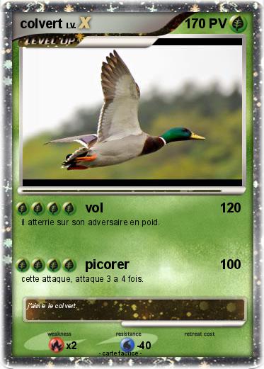 Pokemon colvert