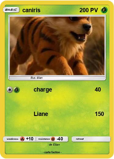 Pokemon caniris