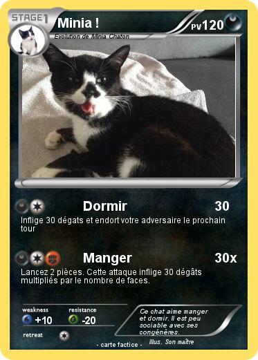 Pokemon Minia !