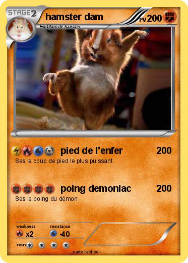 Pokemon hamster dam