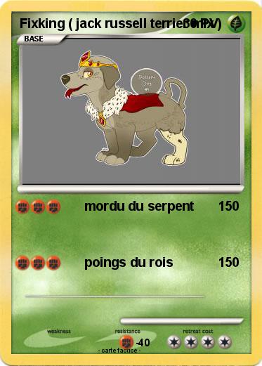 Pokemon Fixking ( jack russell terrier mix )
