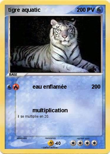 Pokemon tigre aquatic
