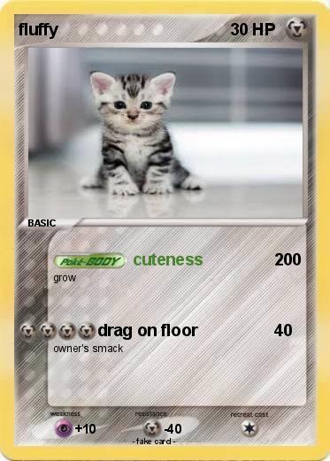Pokemon fluffy