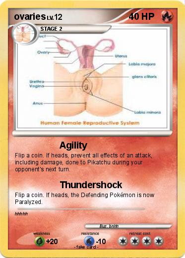 Pokemon ovaries