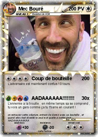 Pokemon Mec Bouré