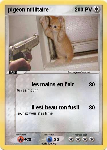 Pokemon pigeon millitaire