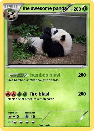 Pokemon the awesome panda
