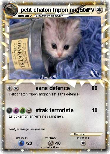 Pokemon petit chaton fripon mignon