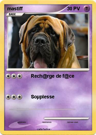Pokemon mastiff