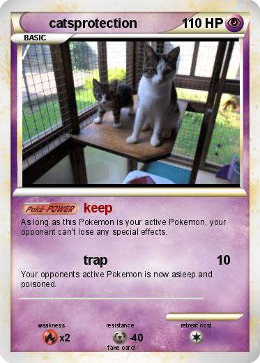 Pokemon catsprotection