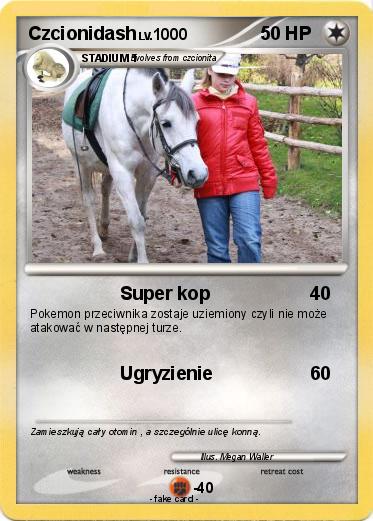 Pokemon Czcionidash