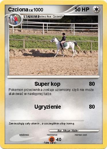 Pokemon Czciona