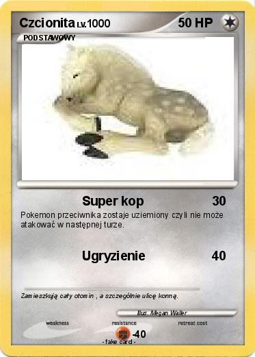 Pokemon Czcionita