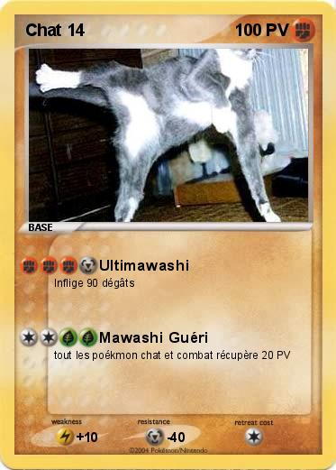 Pokemon Chat 14 