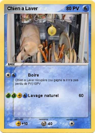 Pokemon Chien a Laver 