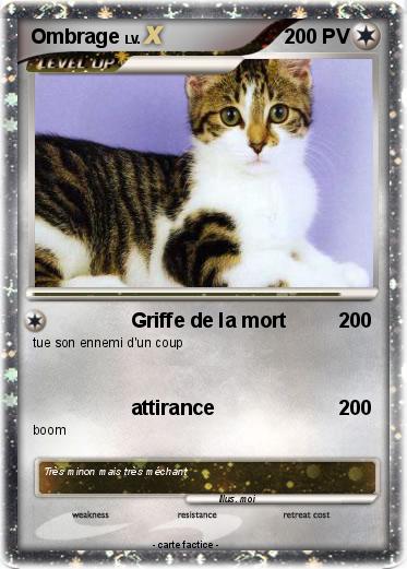 Pokemon Ombrage