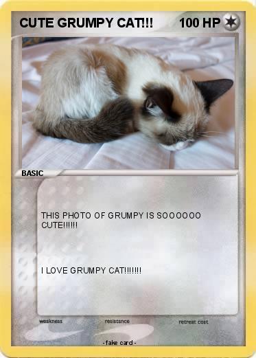 Pokemon CUTE GRUMPY CAT!!!