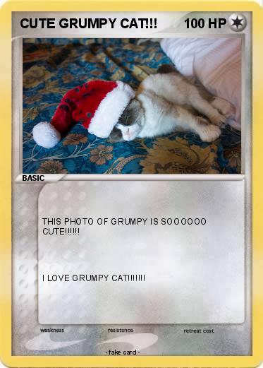 Pokemon CUTE GRUMPY CAT!!!