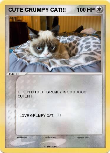 Pokemon CUTE GRUMPY CAT!!!