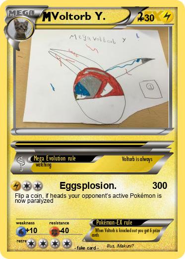 Pokemon Voltorb Y.          2