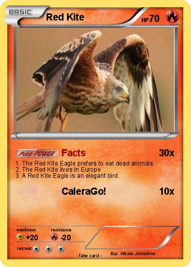 Pokemon Red Kite