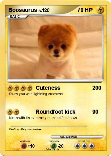 Pokemon Boosaurus