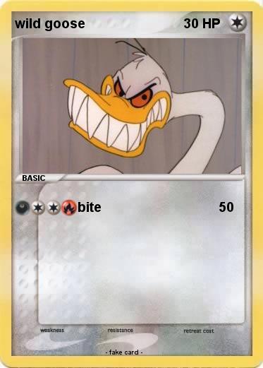 Pokemon wild goose