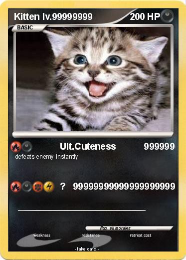Pokemon Kitten lv.99999999