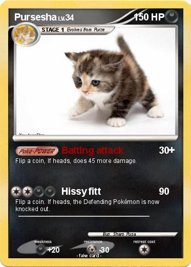 Pokemon Pursesha