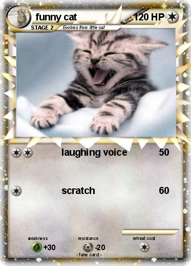 Pokemon funny cat