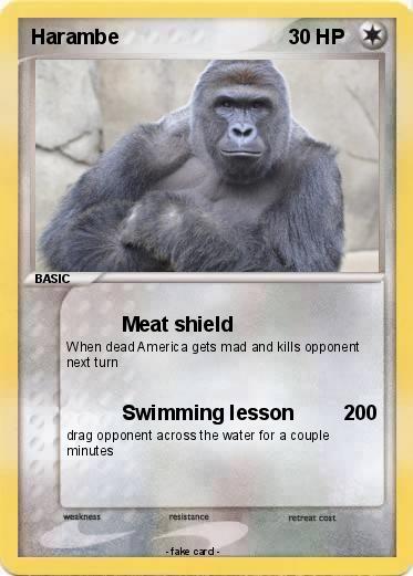 Pokemon Harambe