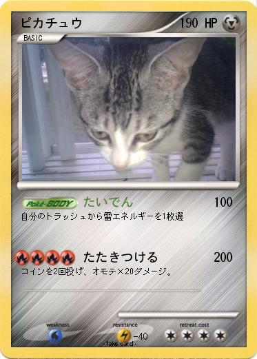 Pokemon ピカチュウ