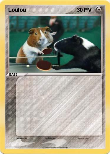 Pokemon Loulou 